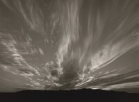 Untitled, Ralph Steiner, 1980