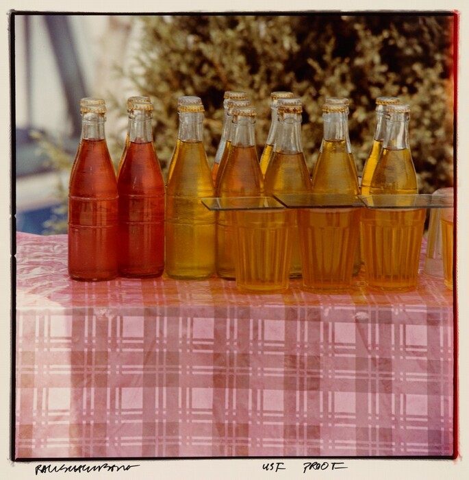 The image shows several bottles of soda. The front row has glass bottles filled with red liquid on the left and yellowish-orange liquid on the right, set against a pink plaid tablecloth. In the foreground are plastic cups with the same yellowish-orange liquid. Behind them, the bottles are arranged. In the background, there is an indistinct blurred mass that appears brown and bushy.