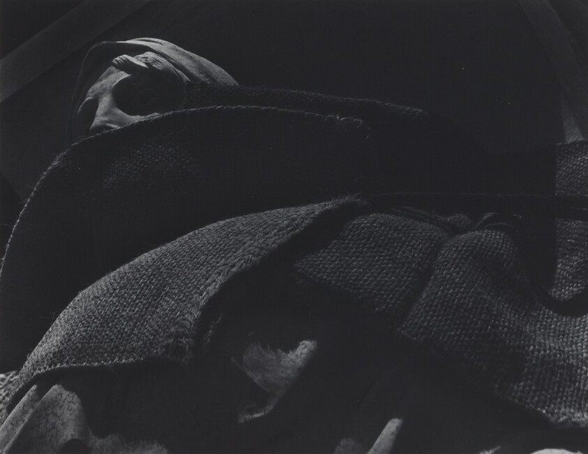 La de las Bellas Artes (She of the fine arts)