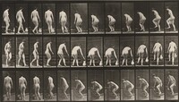 Plate Number 108. Turning to ascend stairs, stooping and lifting pitcher, Eadweard Muybridge, 1887