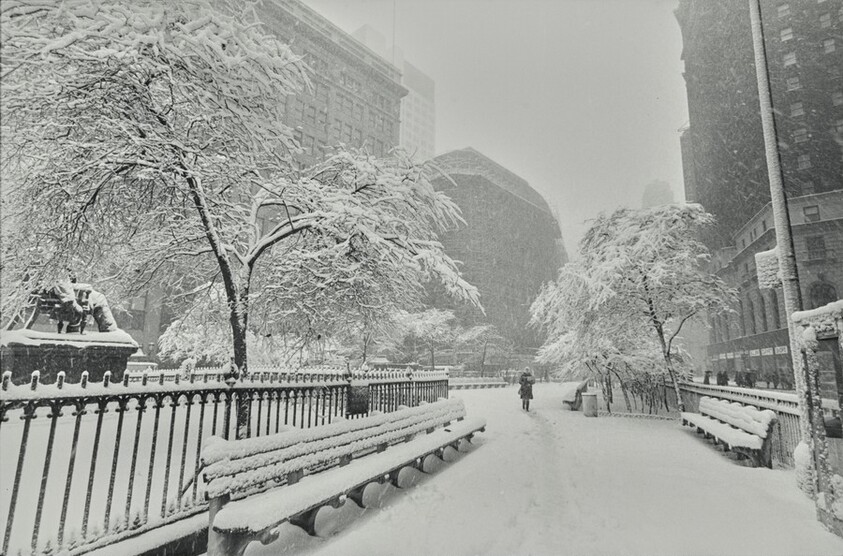 St. Patrick's Day, Greeley Square, New York