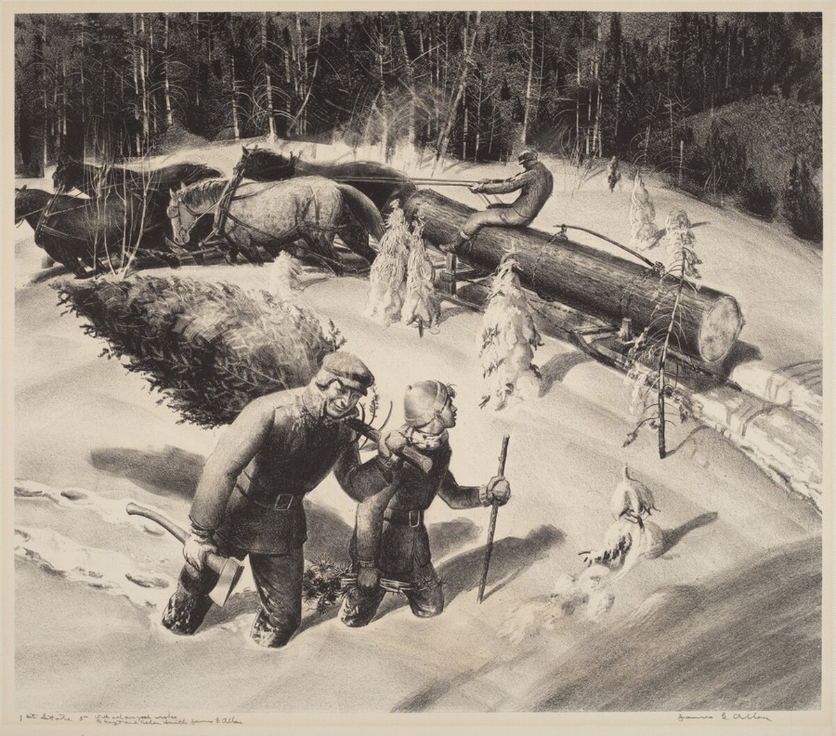 Getting the Christmas Tree