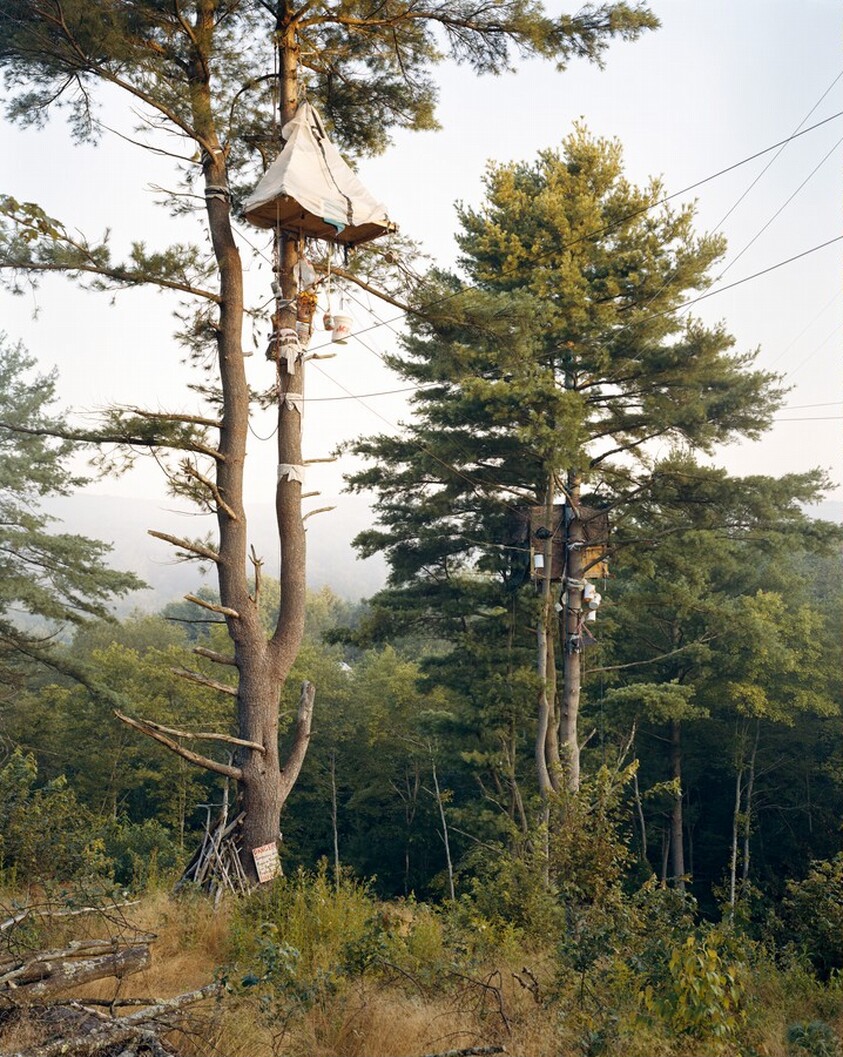 Tree-Sits, Camp White Pine, Huntington County, Pennsylvania 2017