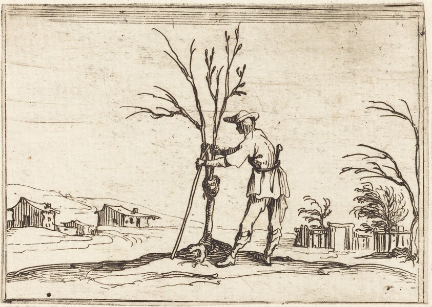 Gardener Pruning a Tree