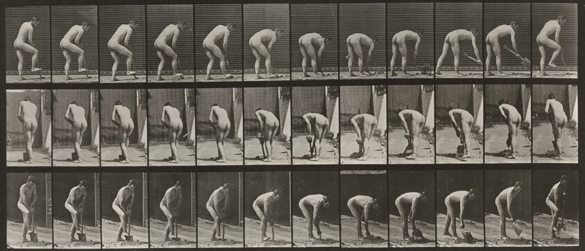 Plate Number 388. Farmer, using a spade