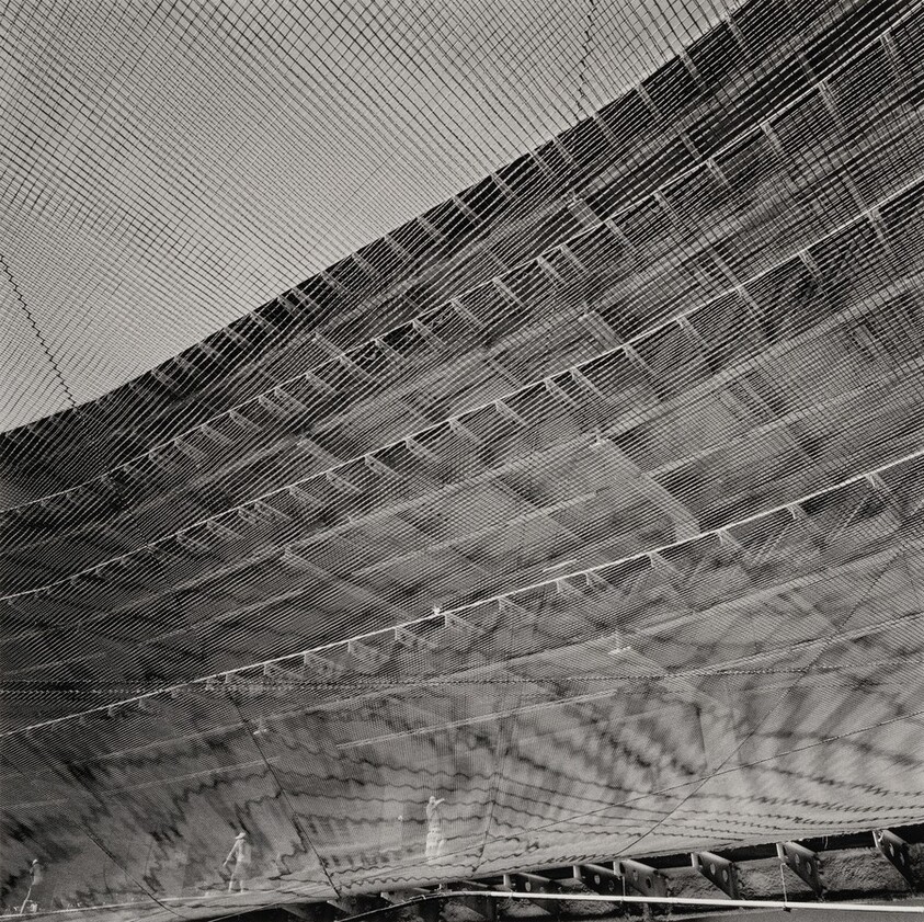 Sin título (Untitled)