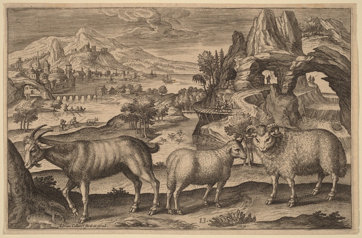 A Goat, a Ewe, and a Ram