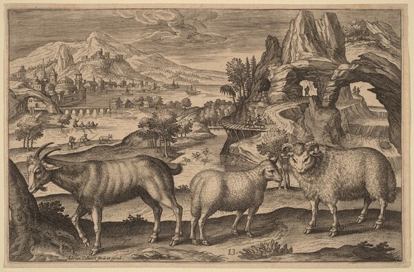 A Goat, a Ewe, and a Ram
