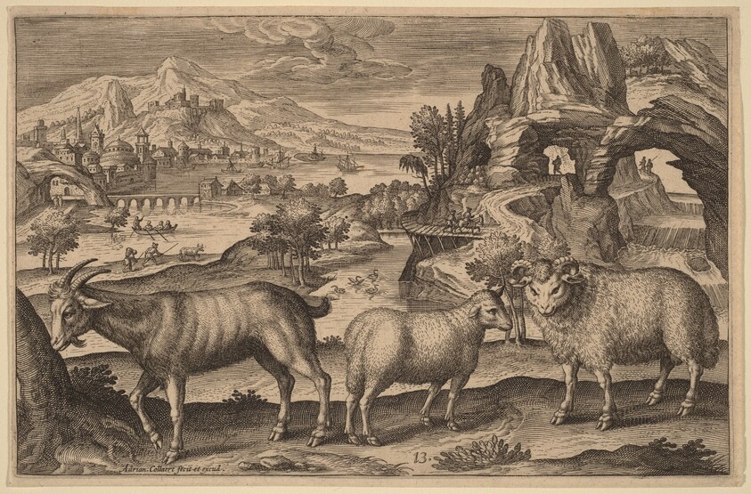 A Goat, a Ewe, and a Ram