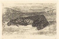 Tiger Sleeping in the Desert (Tigre couché dans le désert), Eugène Delacroix, 1846, printed c. 1870