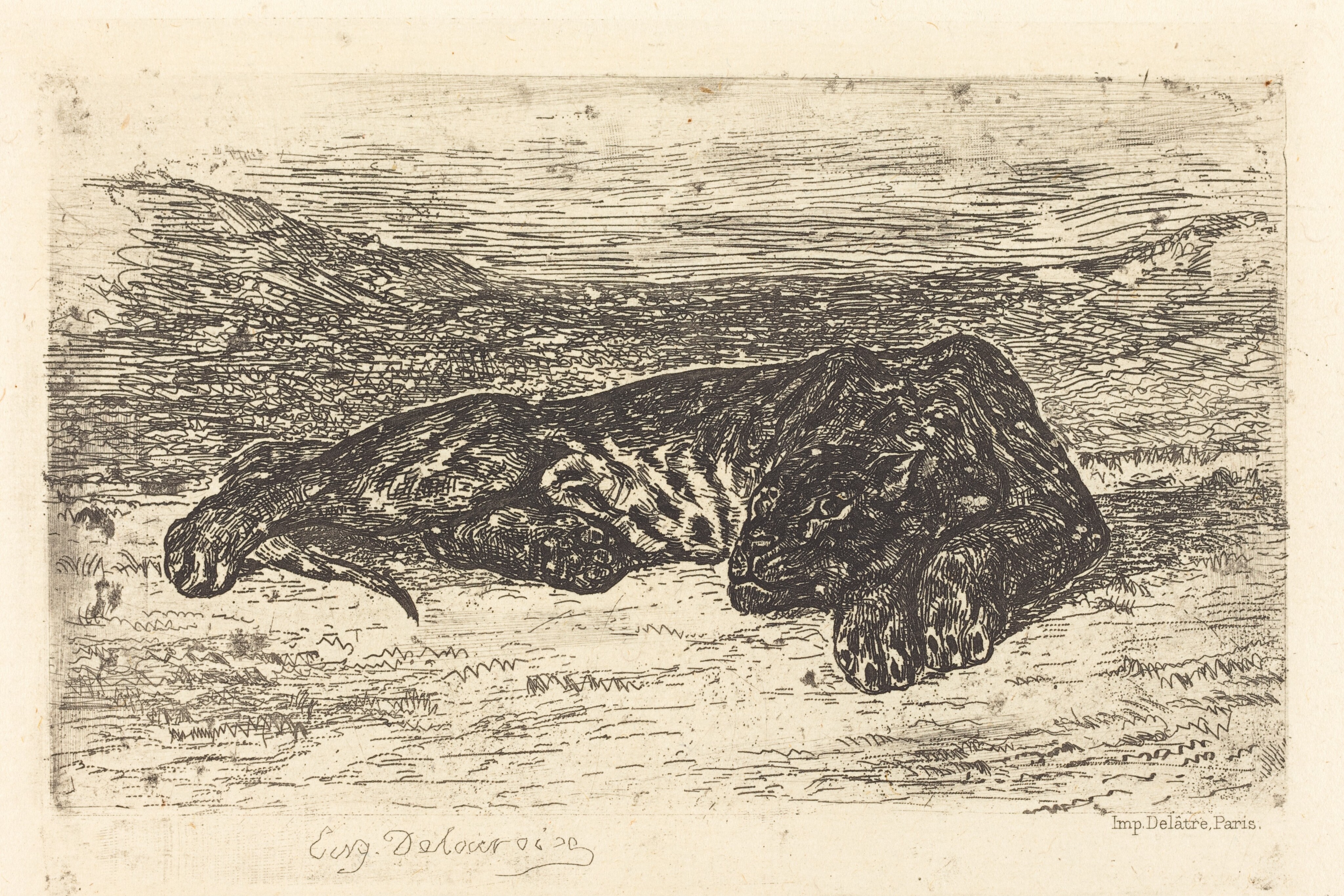 Delacroix、TIGRE ET SERPENT、海外版超希少レゾネ 美術品