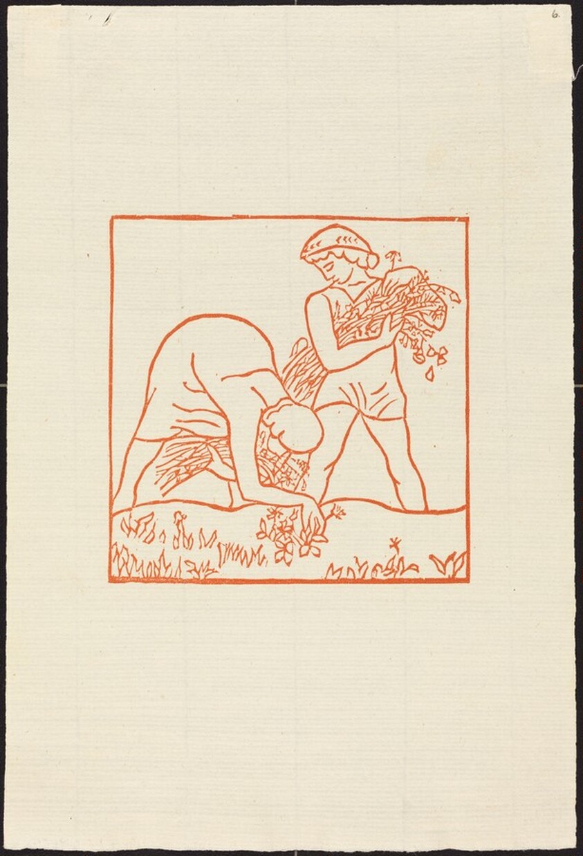 First Book: Daphnis and Chloe Picking Flowers(Daphnis et Chloe rammassant des fleurs)