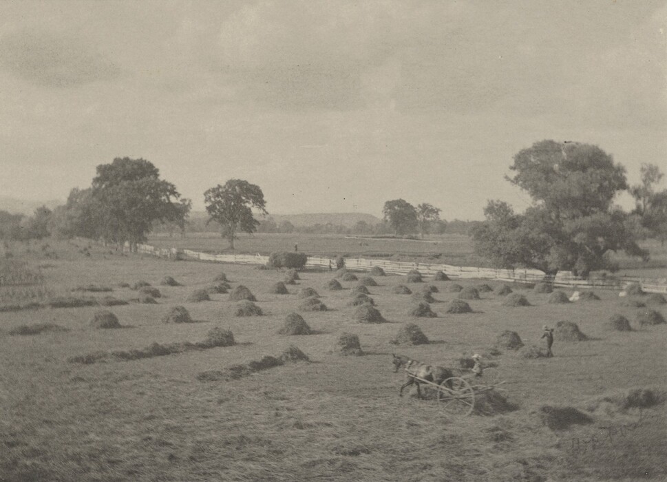 The image shows a rural landscape from an elevated perspective. The horizon, with scattered trees and distant hills, is visible below the midpoint. Numerous haystacks are lined in rows across a vast field, along with a horse-drawn cart and figures tending the field. A wooden fence runs horizontally across the scene, surrounded by large trees. The image is monochromatic, with soft gray tones. Wispy clouds are dispersed against a pale sky.