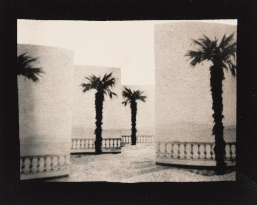 Paper Palms, California