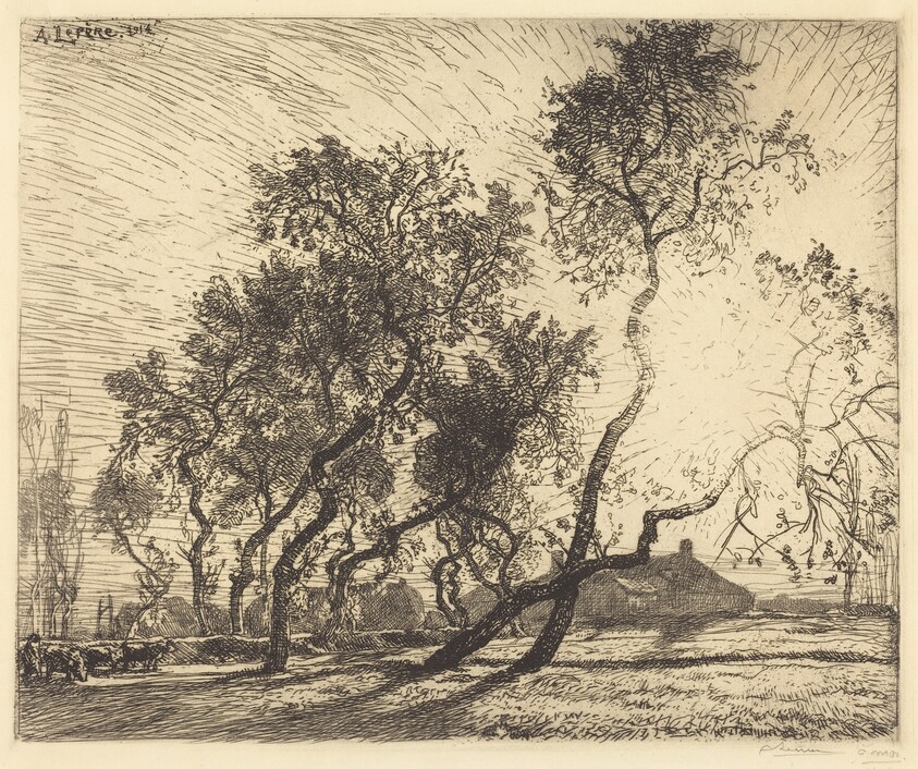 La Ferme aux peupliers de Hollande