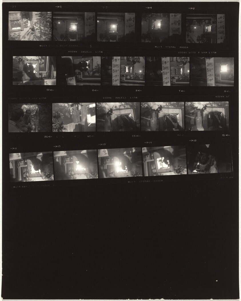 Family--Wellfleet 16