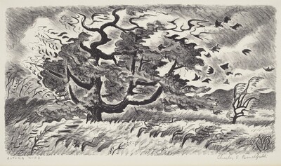 Autumn Wind