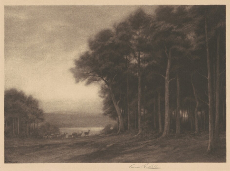 The image shows a landscape with a forest on the right side, leading to a body of water in the distance surrounded by hills. The brushstrokes are soft and blended, creating an ethereal atmosphere. The color palette consists of warm sepia tones. In the background, there are deer grazing near the water.