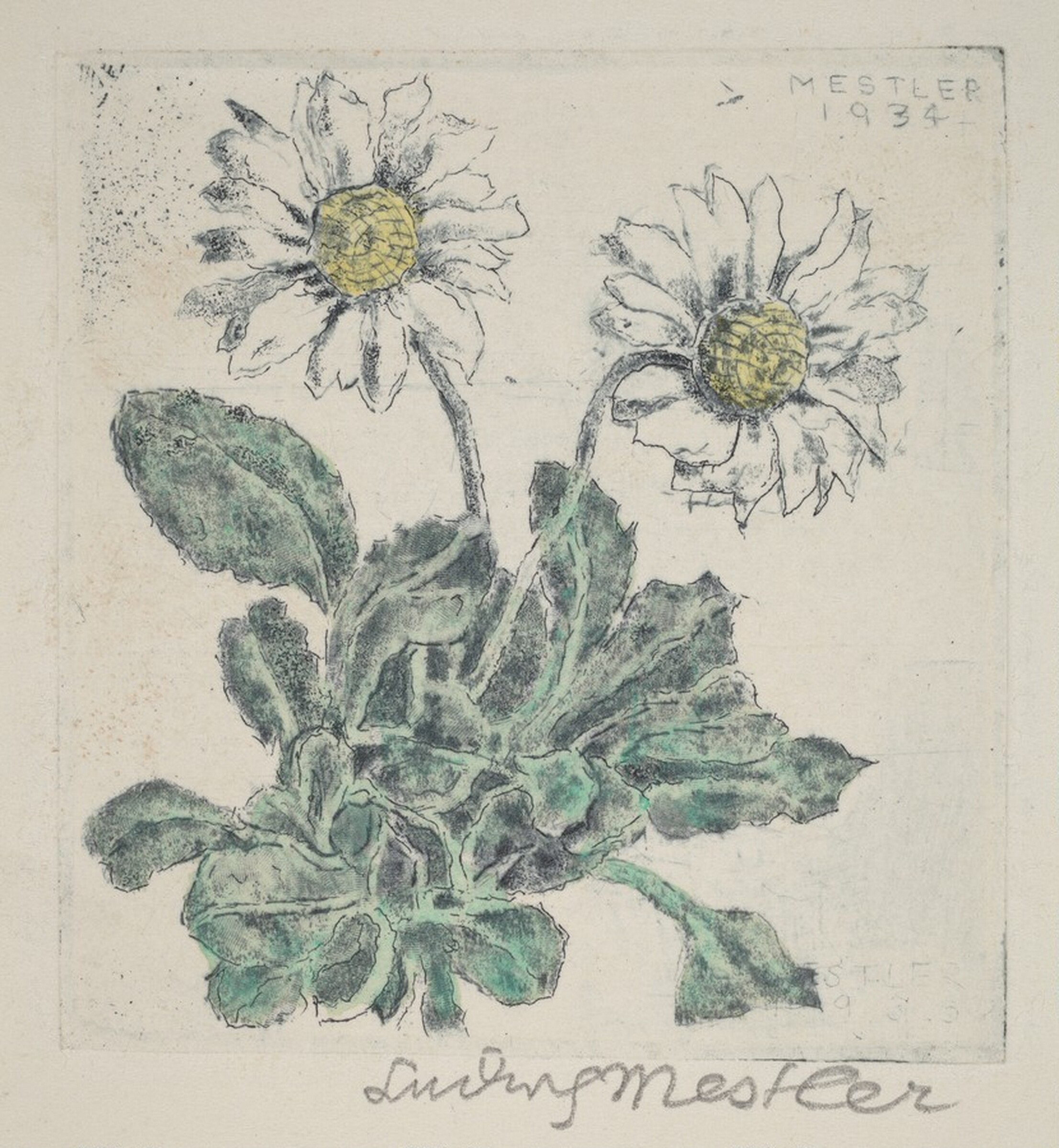 Daisy, Ludwig Mestler, 1934