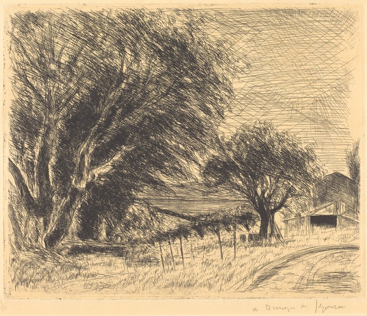 La Ferme a l'aire l'apres-midi