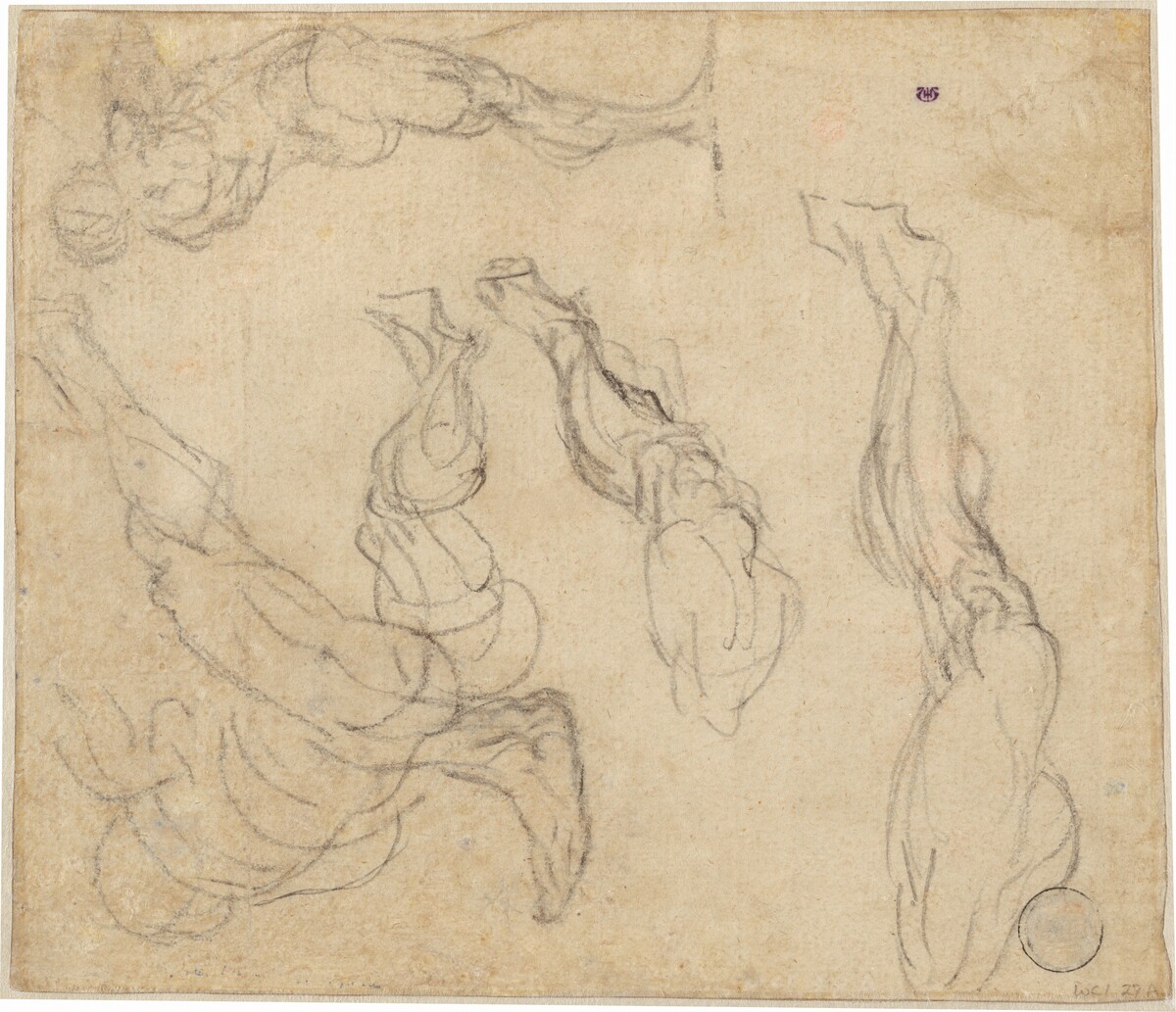 Head of a Boy (verso)