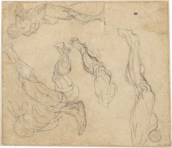 Head of a Boy (verso)