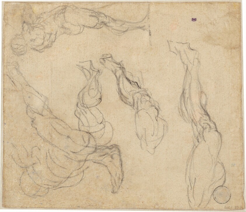 Head of a Boy (verso)