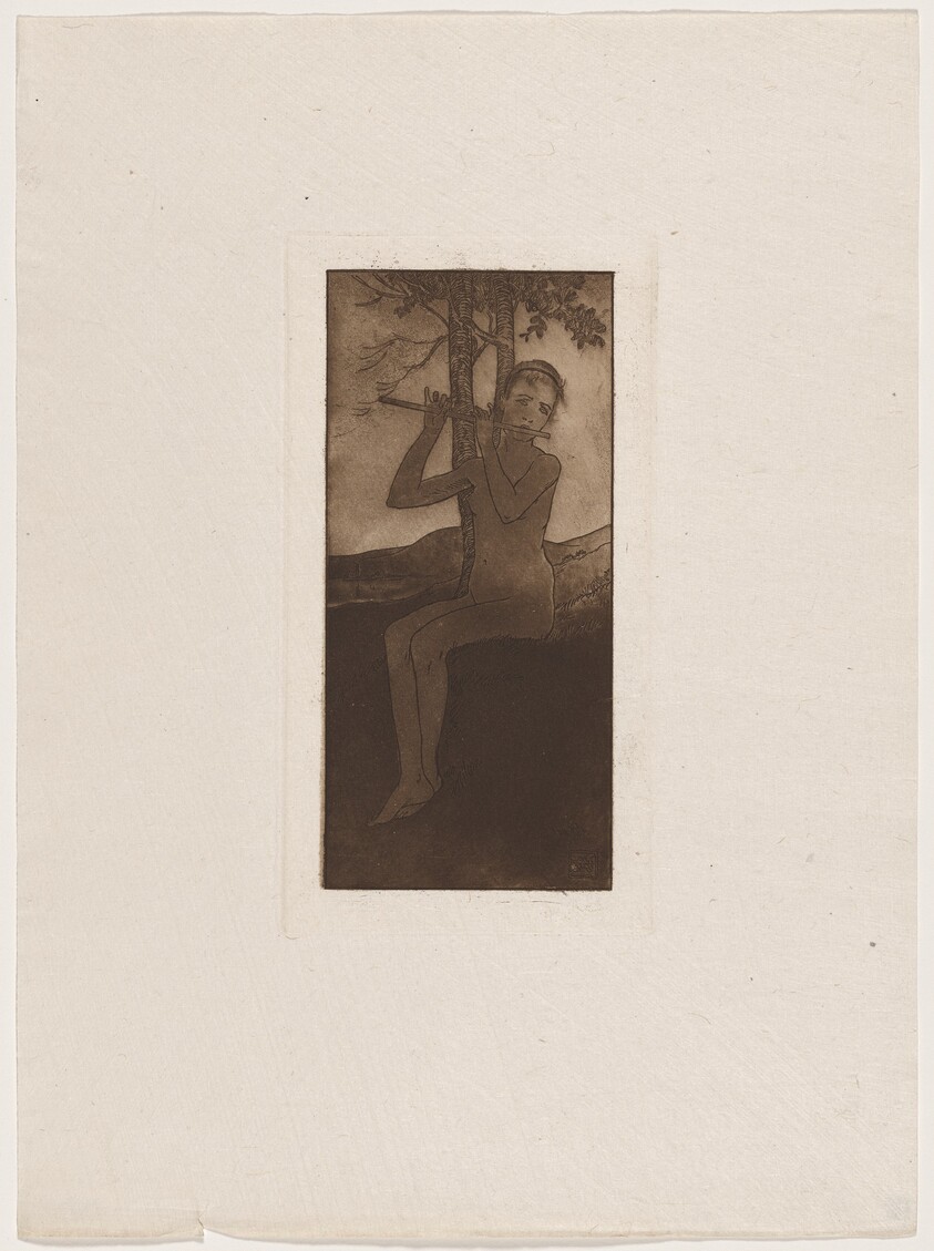 Le chant de la cigale