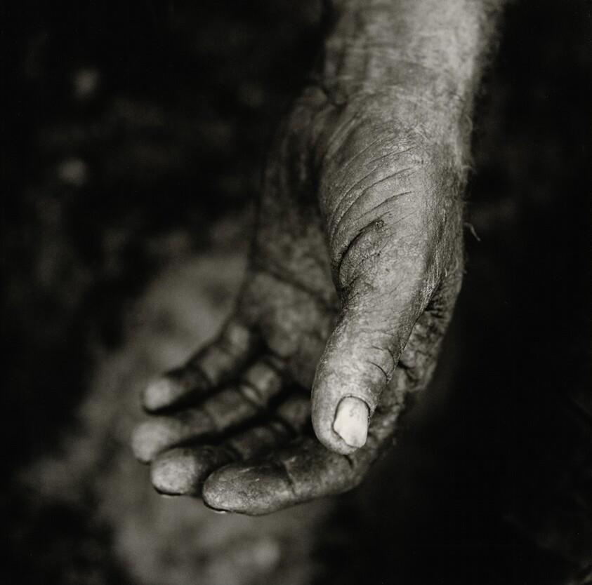 The "Hope" Grasshopper. Dona Antônia's Wish-Ribbon Bracelet. Five Centuries Work the Land at Black River.