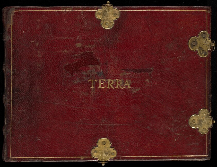 Animalia Qvadrvpedia et Reptilia (Terra)