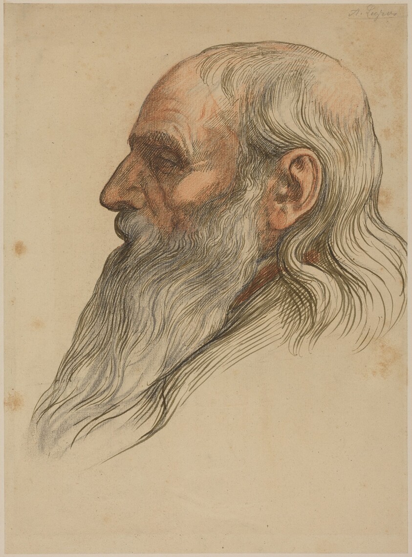 Study of a Man's Head with a Full Beard