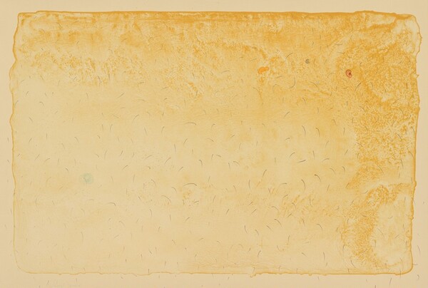 Map for Encounter with Hariless Government Heads