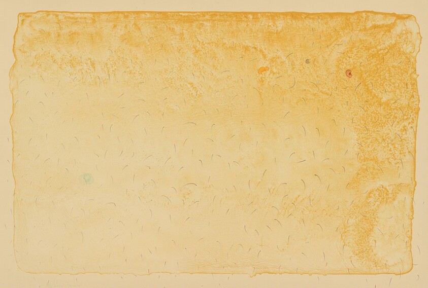 Map for Encounter with Hariless Government Heads