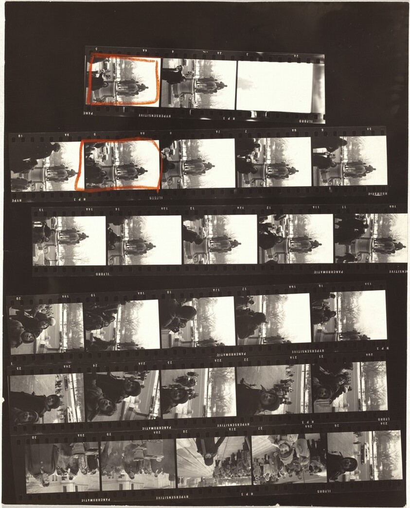 Museum of Natural History no number