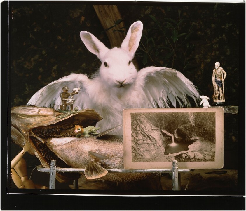 Waiting for the Signal