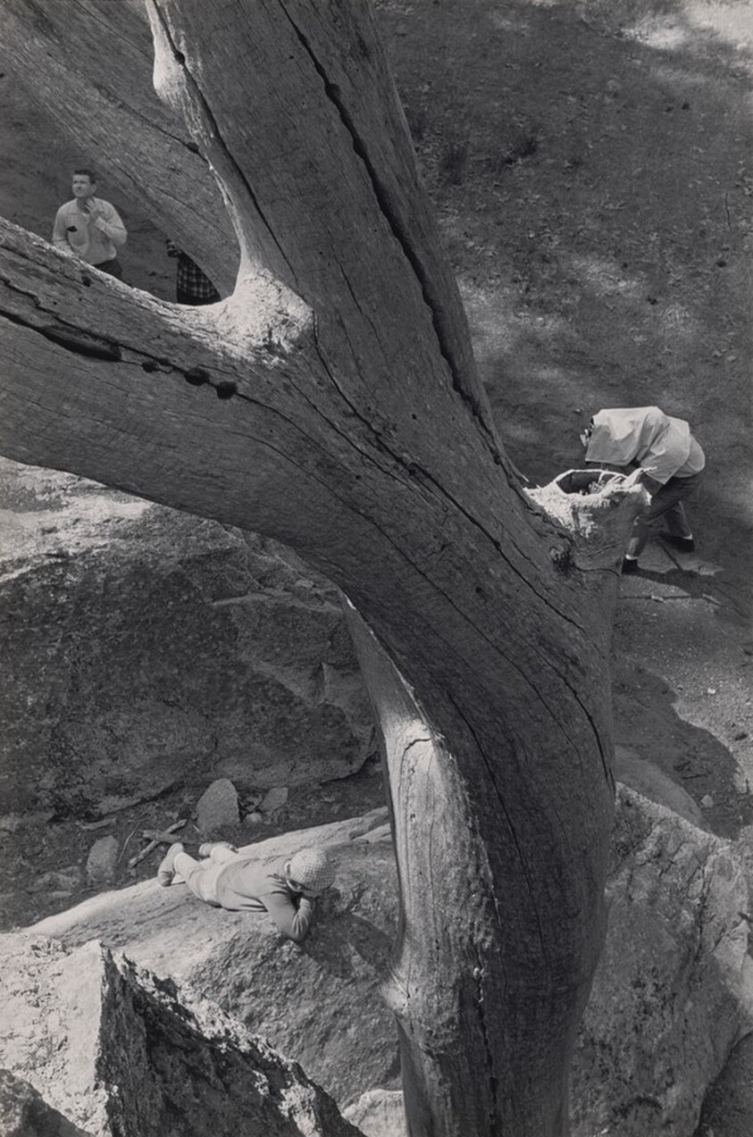 "Environmental Portraiture" Adams Students, Church Bowl, Yosemite