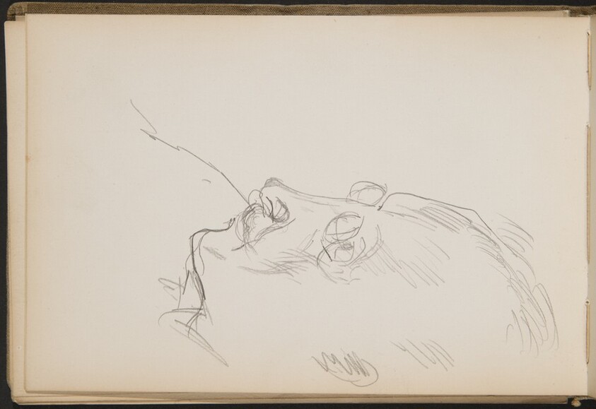 Männliche Bildnisstudie (Unknown Male Portrait Study) [p. 20]