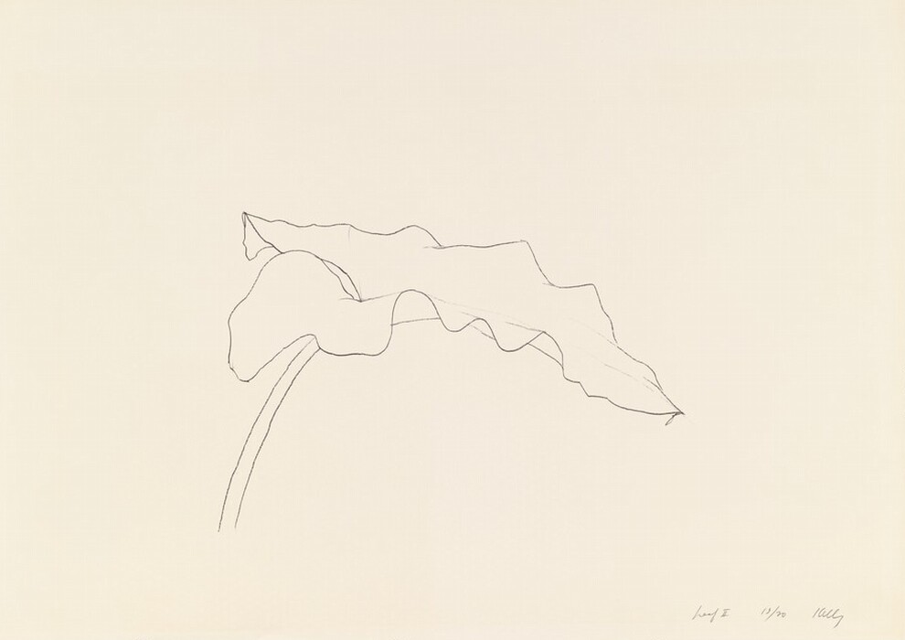 The image shows a single leaf outline with wavy edges on the right side of the canvas. The color palette is minimal, with a light beige background and a thin dark line for the leaf's outline. The leaf is positioned towards the upper right quadrant, arcing from the lower left and extending towards the right with its tip facing slightly upward.