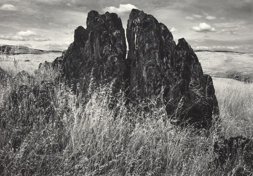 Metamorphic Rock and Summer Grass,  Foothills, the Sierra Nevada, California