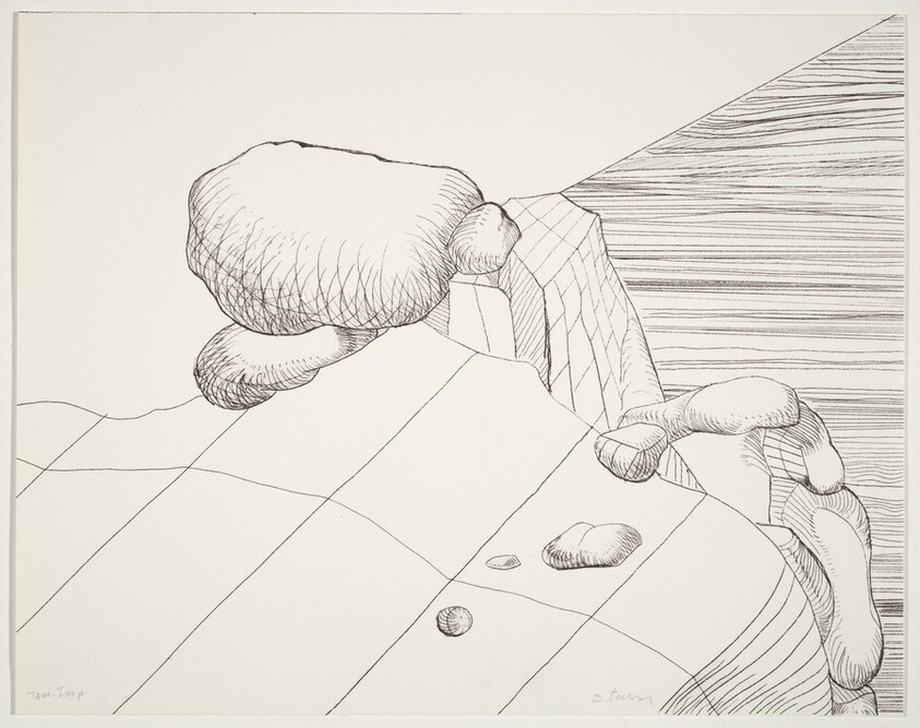 Untitled (9 of the 8 Views of Omi VII)