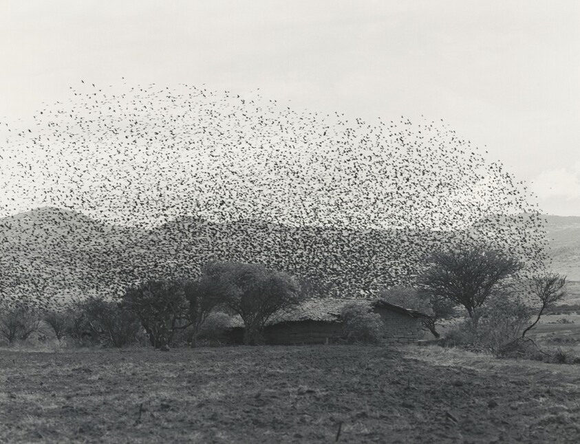 Nube, Edo de México