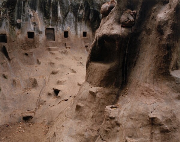 Baboons, Arnhem, Netherlands