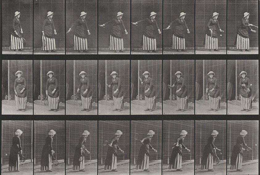 Plate Number 296. Lawn tennis