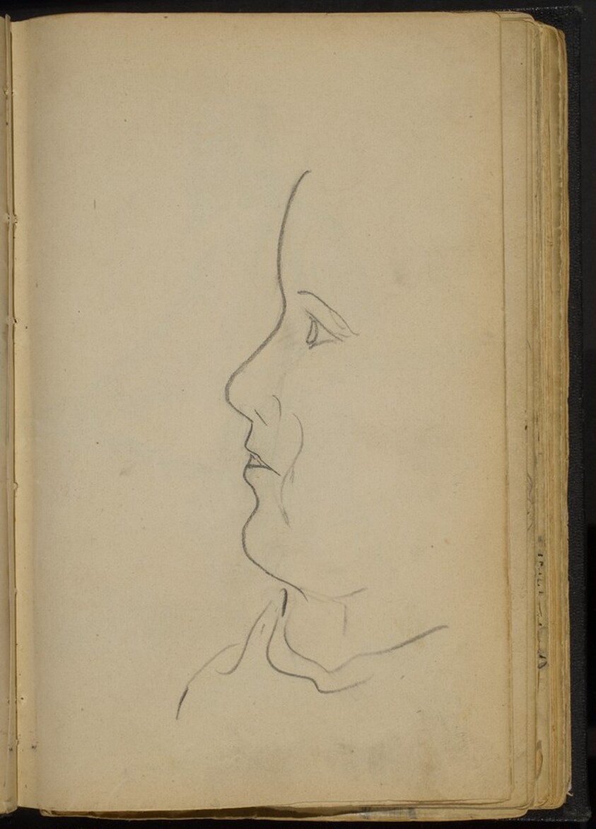 Face in Profile to the Left