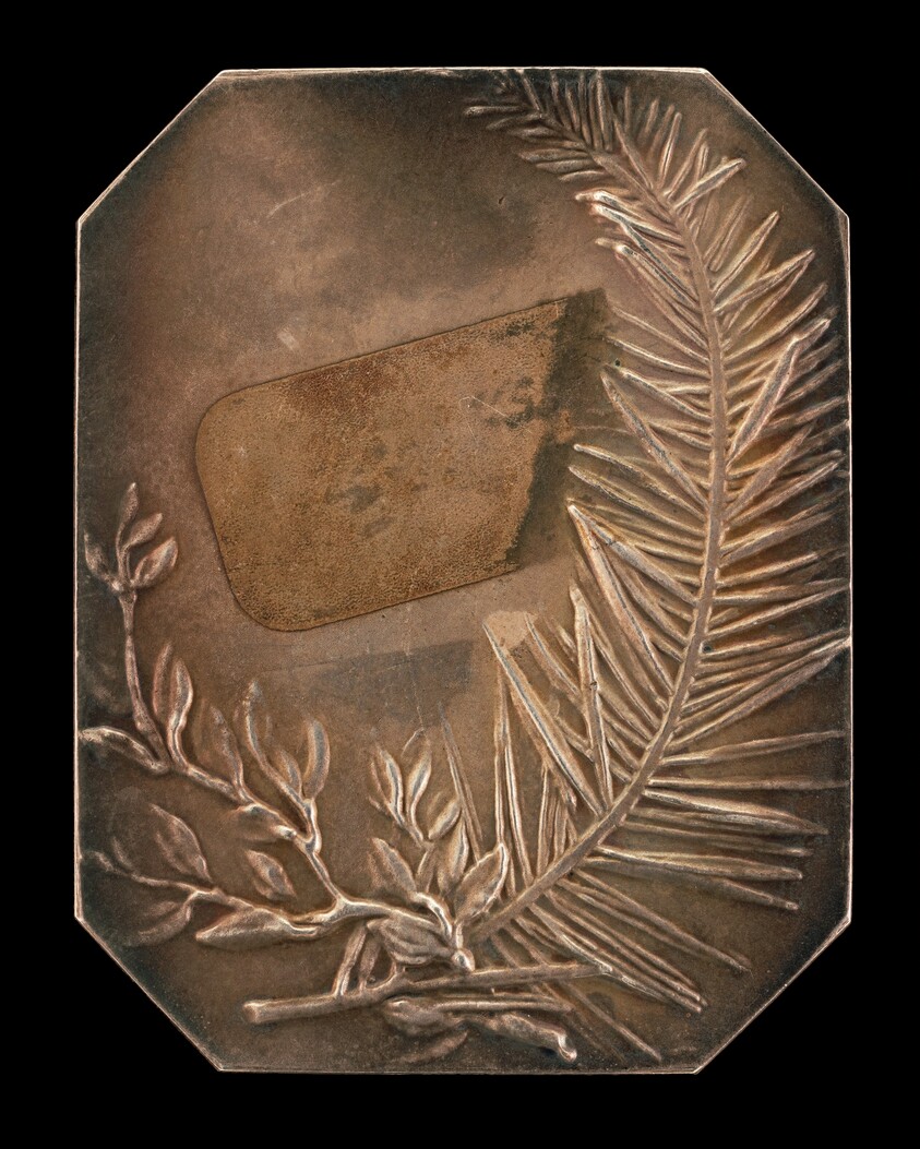 Intertwined Branches of Laurel and Evergreen [reverse]