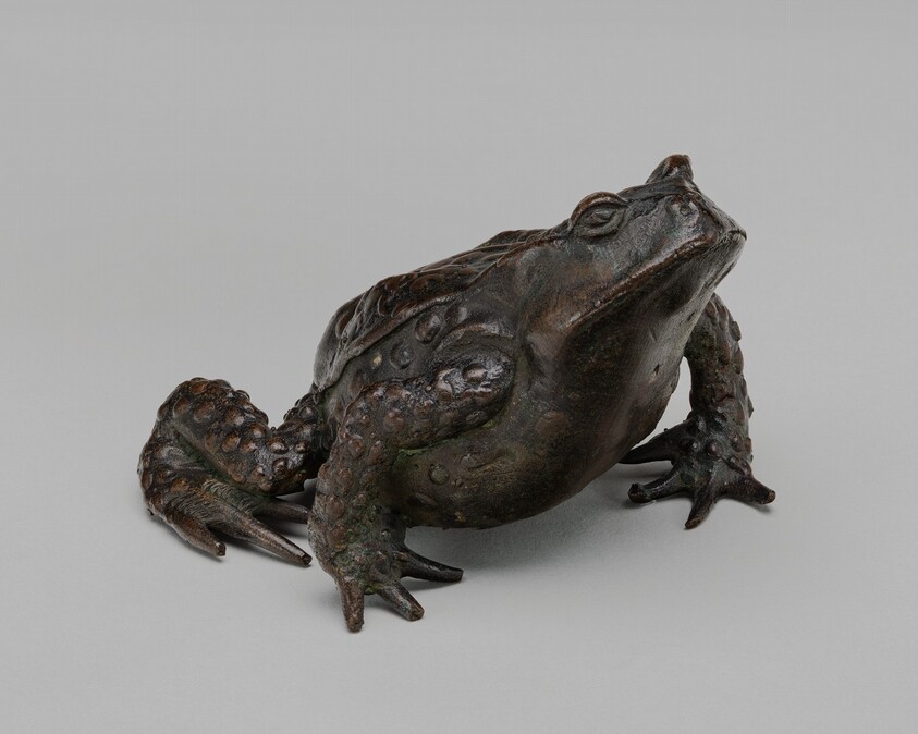 A Toad