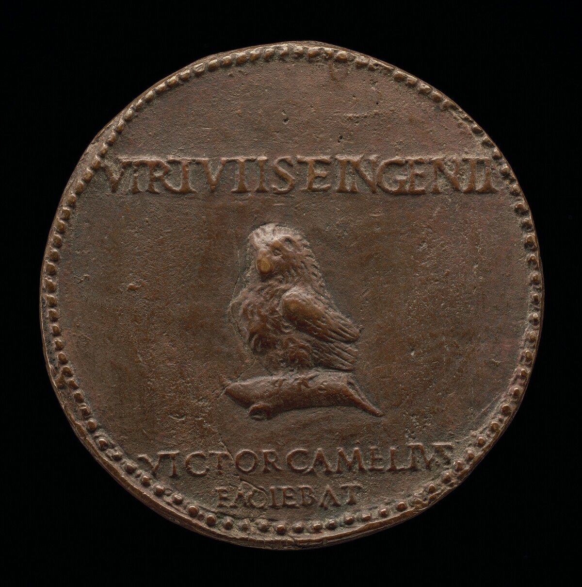 An Owl [reverse]