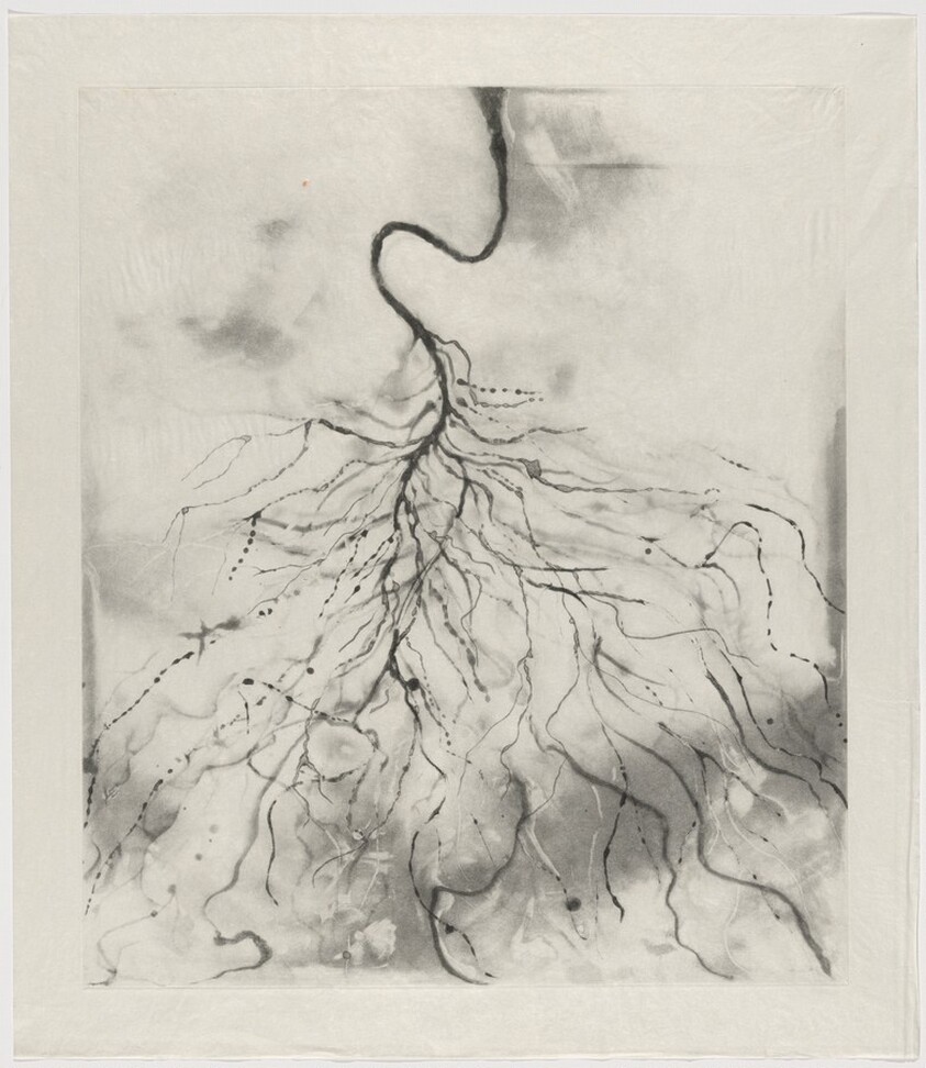 Racine [working proof 5]