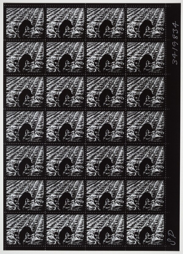 Berlin Dream Stamp (Negative Version) [special proof]