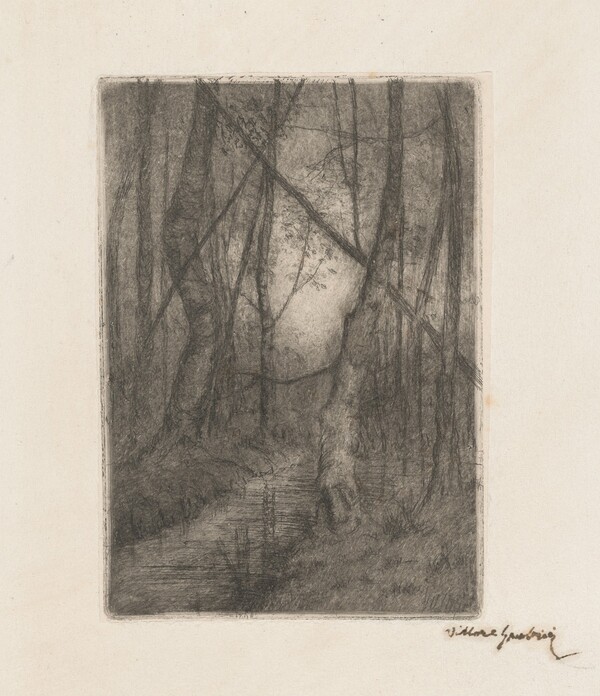 Stream in the Woods